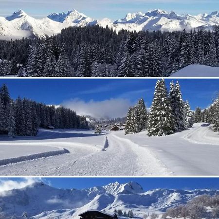 Studio Cabine Praz De Lys Taninges Eksteriør bilde