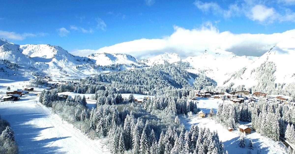 Studio Cabine Praz De Lys Taninges Eksteriør bilde