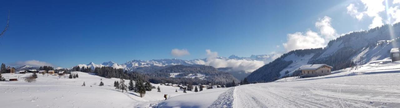 Studio Cabine Praz De Lys Taninges Eksteriør bilde