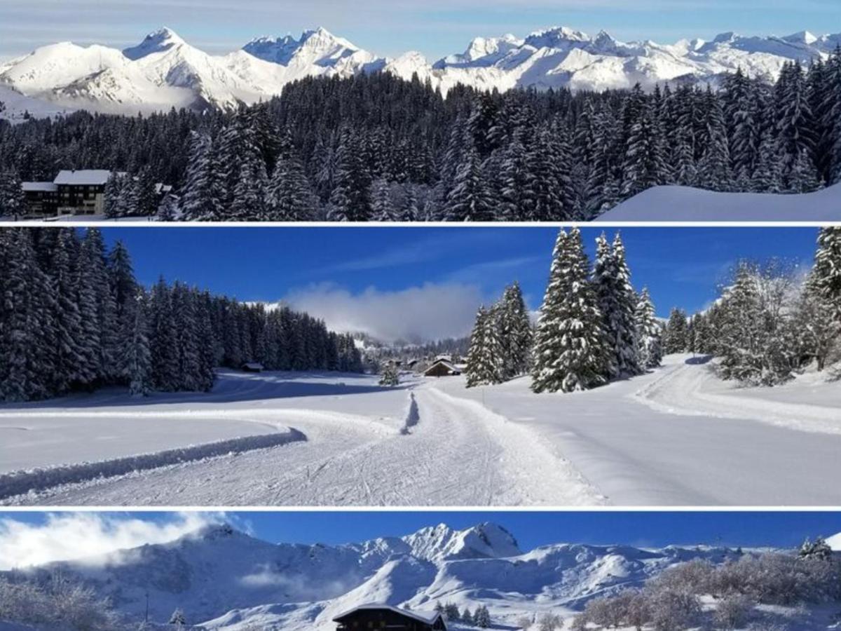 Studio Cabine Praz De Lys Taninges Eksteriør bilde