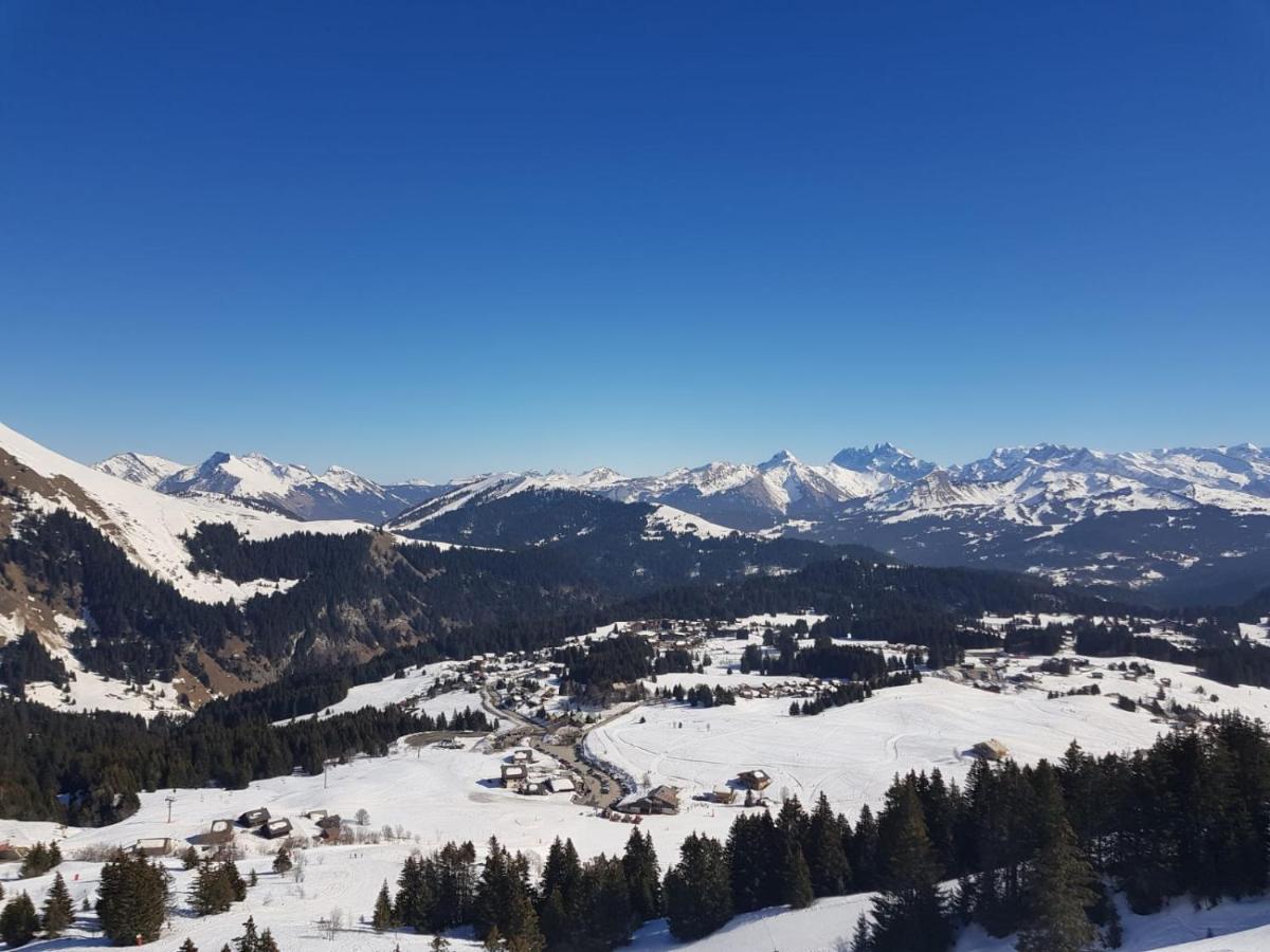 Studio Cabine Praz De Lys Taninges Eksteriør bilde