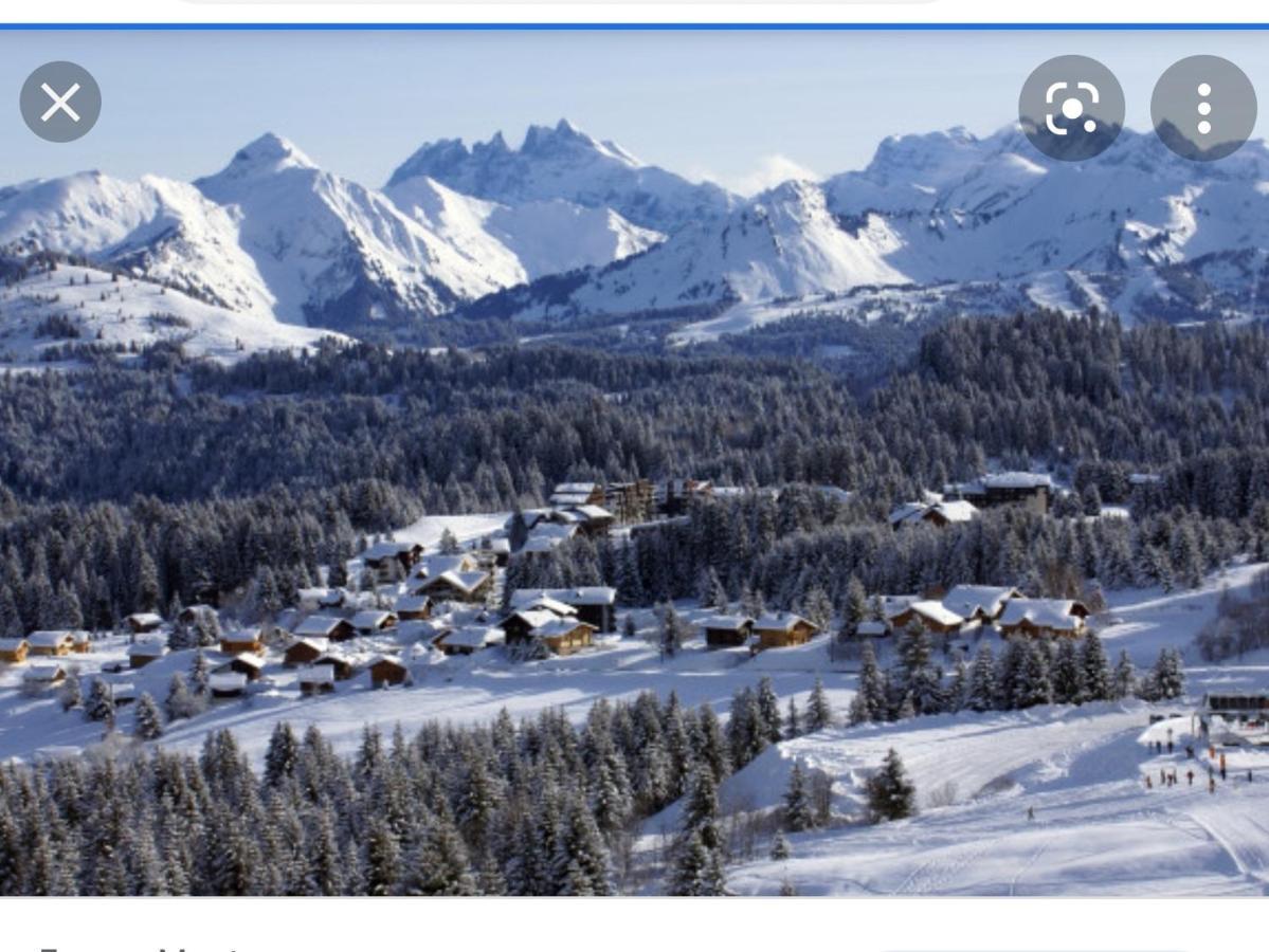 Studio Cabine Praz De Lys Taninges Eksteriør bilde